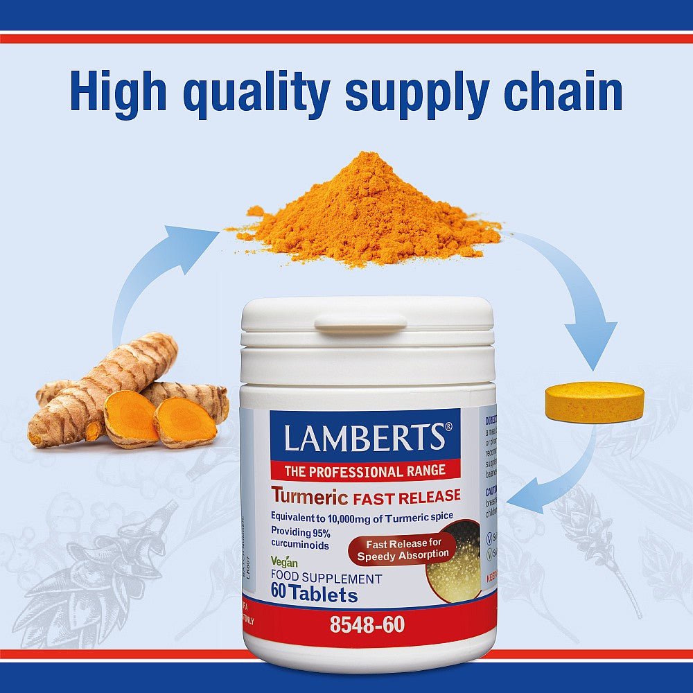 Lamberts Turmeric Fast Release 10,000mg 60 Tablets - MARILENA SANTIPHARMACY